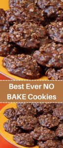 Best Ever NO BAKE Cookies