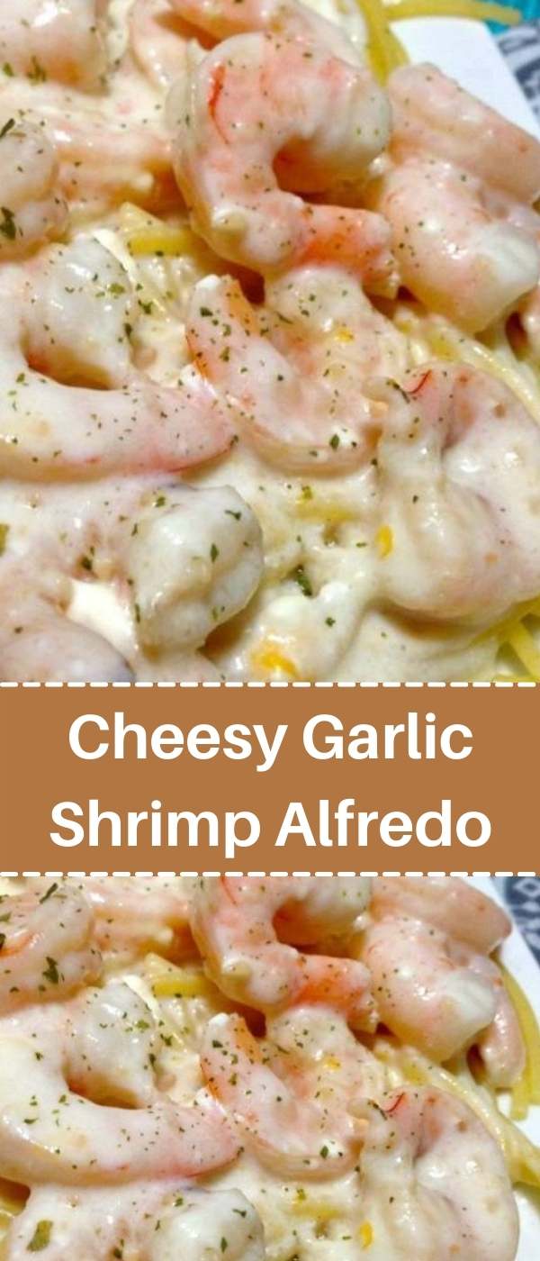 Cheesy Garlic Shrimp Alfredo