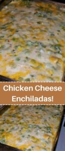 Chicken Cheese Enchiladas!