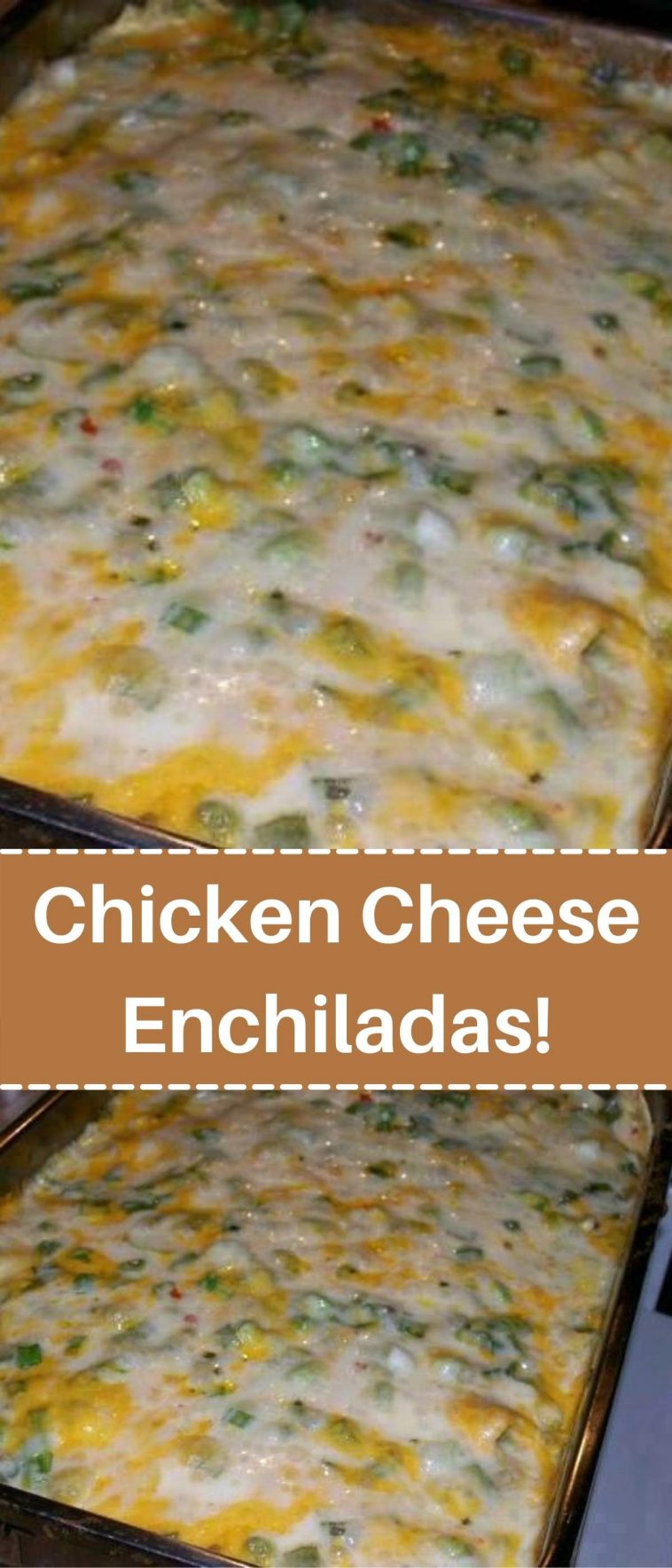 Chicken Cheese Enchiladas!