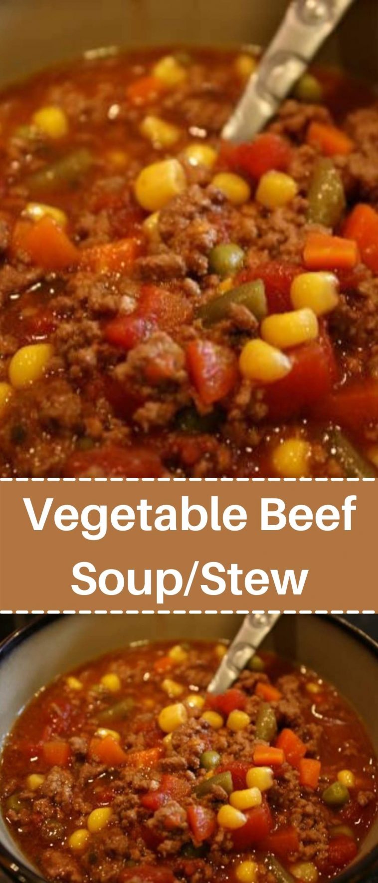 Vegetable Beef Soup/Stew
