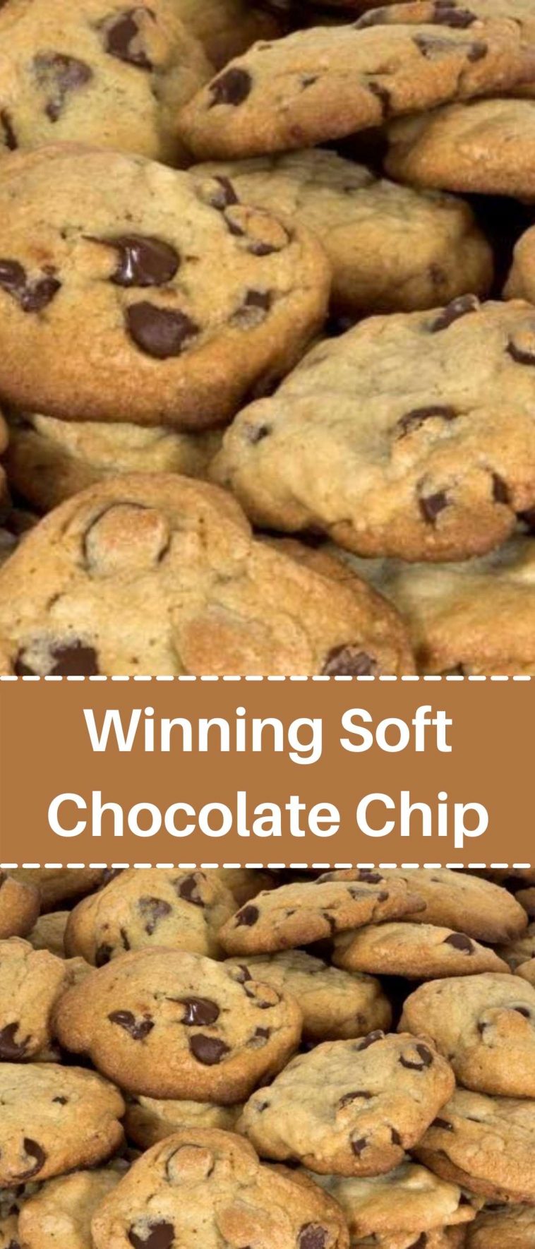 Winning Soft Chocolate Chip